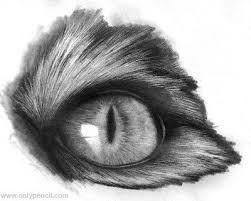 Drawing Realistic Cat Eyes Page 7 Of 7 Onlypencil Drawing Tutorials Cat Eyes Drawing Realistic Drawings Cat Eye Tutorial