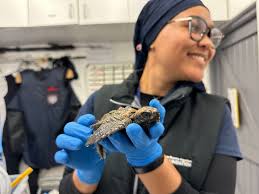 Tyler Leigh Vivier, Author at Good Things Guy