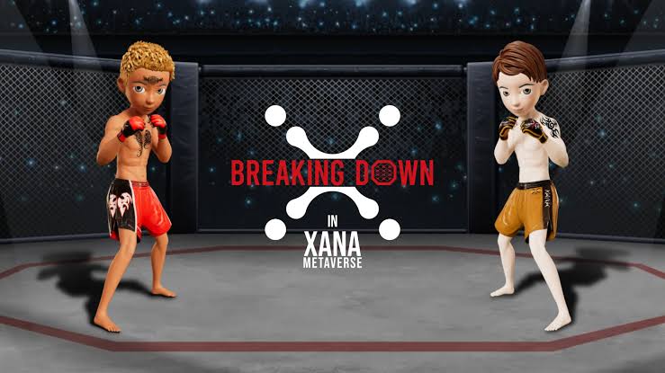 Boxing Game Preview