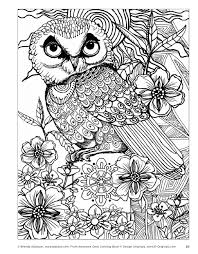 Awesome Owls Coloring Book Owl Coloring Pages Fox Coloring Page Coloring Pages