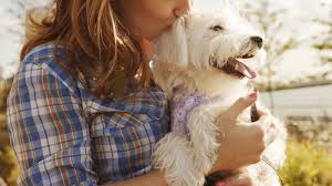 We did not find results for: You Really Love Your Dog Like A Child Study Says Abc News