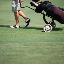 Golf Caddy Cover Letter And Resume Examples