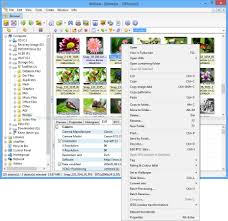 Best photo viewer, image resizer & batch converter for windows. Xnview Screenshot And Download At Snapfiles Com