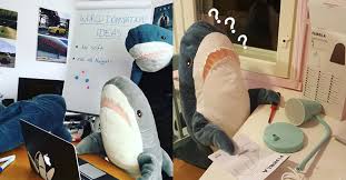 Ikea Hai Aus Plusch Wird Virales Instagram Model