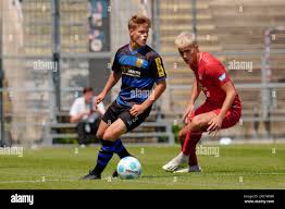 Eichhörn hi-res stock photography and images