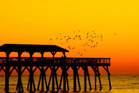 Myrtle Beach State Park Myrtle Beach South Carolina