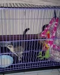 Glide Spot 70 Photos Local Business Cisauk Cisauk Banten Indonesia 15343