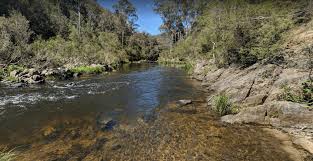 There are also 30 tent campsites that have a picnic table, fire ring, and. The Pines Campground Caravan And Camping