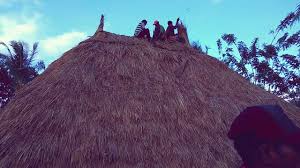 We did not find results for: Tebe Terbaru 2019 Masyarakat Leloway Youtube