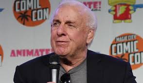 Listen to the official audio of ric flair drip by offset & metro boomin. Ric Flair Net Worth Is 3 Million Updated For 2020