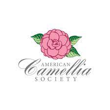 Image Result For Camellia Logo Logo Design Flower Logo Nail Logo