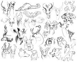 Sketch Dump Draw All The Animals Animal Sketches Turtle Art Animal Art
