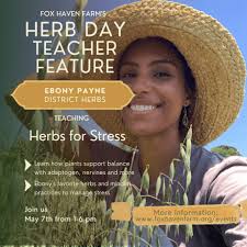 Fox Haven Farm's Herb Day: Open House Fundraiser