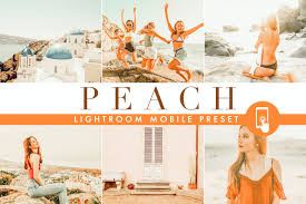 Do you want to edit professional looking photos, while on the go, straight from your phone? 20 Best Lightroom Mobile Presets Free Pro Presets 2021 Theme Junkie