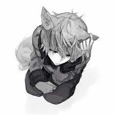 Image of 310 wolf names male female famous alpha names with. Anime Guy With Wolf Ears And Tail Wolf Boy Anime Anime Neko Nekomimi