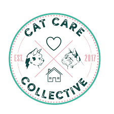 Why should they have to spend all night alone. Cat Care Collective In Home Cat Sitting Services By Toronto Pet Professionals