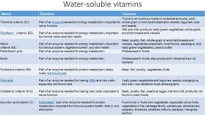 Macronutrients and micronutrients.this is why pouring npk fertiliser on your sick plant will often not make it healthier nor will it make your vegies taste better. Macronutrients And Micronutrients Mountainotes Lcc Outdoors And Fitness