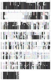 List of 80 best qv meaning forms based on popularity. Ijms Free Full Text Cbx2 A Pcg Family Gene Plays A Regulatory Role In Medaka Gonadal Development Html