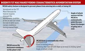 The crash of ethiopian airlines flight 302 on sunday — five months after the lion air crash of the same type of plane in indonesia — has raised many questions about the boeing 737 max 8. The Boeing Safety Feature In 737 Max 8 Jets That Crashed After Take Off Daily Mail Online