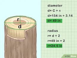 Poau bois rond diamètre hauteur 160 poteau bois acheter maintenant haute qualité prix ba…. 4 Manieres De Determiner L Age D Un Arbre Wikihow