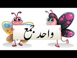 Wahid jama urdu grammar for ssc and inter students. Urdu Wahid Jama Singular Plural In Urdu Preschool Online Learning Preschool Videos Youtube