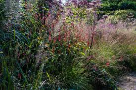 Garten Von Piet Oudolf Gartenbesuche Auf Staudenblog Stauden Garten Gras