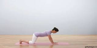 Camel pose is said to benefit the circulatory, nervous and endocrine. Cat Camel Pose