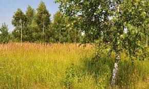 The first jewish settlement in the tomaszow region. Die 10 Besten Hotels In Tomaszow Mazowiecki Polen Ab 33