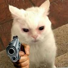 Stream Thoi gian se tra loi Fat x BR