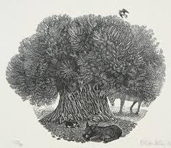 Kathleen Lindsley Cyprus Olive Wood Engraving Wood Engraving Davidson Galleries Olives Image