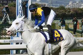 24:00 プロ馬券師集団『桜花』の競馬予想ちゃんねる 13 153 просмотра. Ah8qcqhom0zgmm