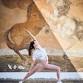 Yoga and Horseback Safari with Eva Sekira event image