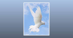 David Harold Darby, Jr. Obituary July 19, 2023