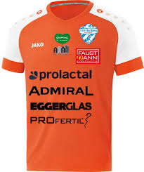 Tsv Hartberg 2020 21 Away Kit