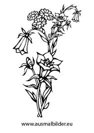 Hier findest du unsere ausmalbilder blumen zum kostenlosen ausdrucken. Ausmalbild Blumen Kostenlos Ausdrucken