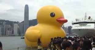 Giant Rubber Duck Will Sail To U S Next Rubber Duck Duck Giants