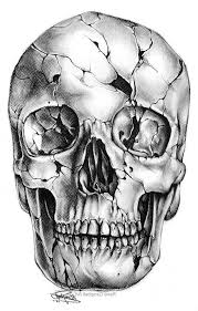 Realistic Skull Tattoo Designs 1000 Ideas About Skull Drawings On Pinterest Sugar Skull Skulls Drawing Skull Art Skull Drawing