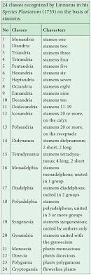Types Of Classification Taxonomy