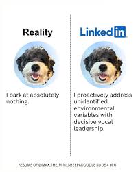 If my dog had LinkedIn it would read something like this. #LinkedInMemes # DogMeme #DogLogic #LinkedInHumor #DogHumor