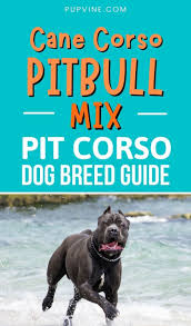 Lori Stenberg-Thompson (teekee35)