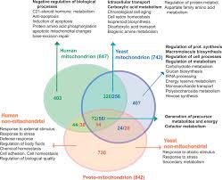 Maybe you would like to learn more about one of these? Venn Diagram Representing The Overlap Of The Three Considered Download Scientific Diagram