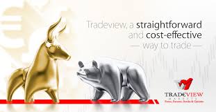 Tradeview Fxrebate