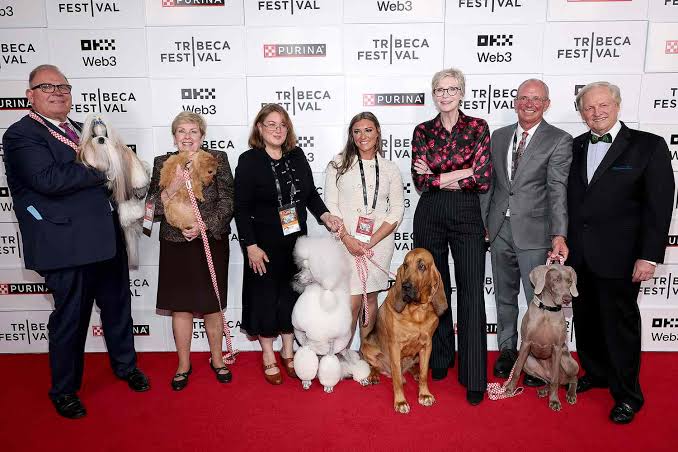 Jane Lynch, Best in Show Cast Share Beloved Pet Stories at 25th Anniversary  Reunion (Exclusive)
