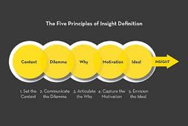 What Is Insight The 5 Principles Of Insight Definition Principles Insight Innovation Strategy