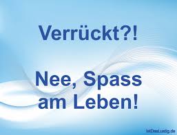 Verrückt Nee Spass Am Leben Sprüche Lustig Sprüche Zitate