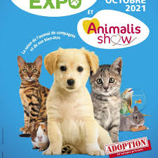 Une exposition originale planète chien et chat pour découvrir l'univers des chiens et des chats, ioupsi & joke organisent la 3ème édition du salon du chiot et de quelques chatons au scarabee de roanne. C2hm1 Dmpjzatm