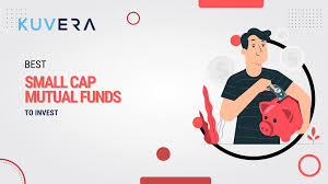 Best Small Cap Mutual Funds To Invest In 2022