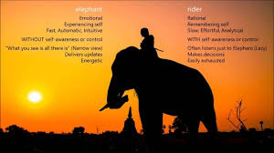 Taming an Elephant. We believe we're ...