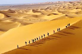 Todo (263) fotos (262) vídeos (1) vistas (91) atracciones (5) sitios de interés (13) otros (155). Cinq Bonnes Raisons De Visiter Taghit Visas Voyages Algerie