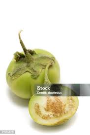 Image result for Solanum macrocarpon